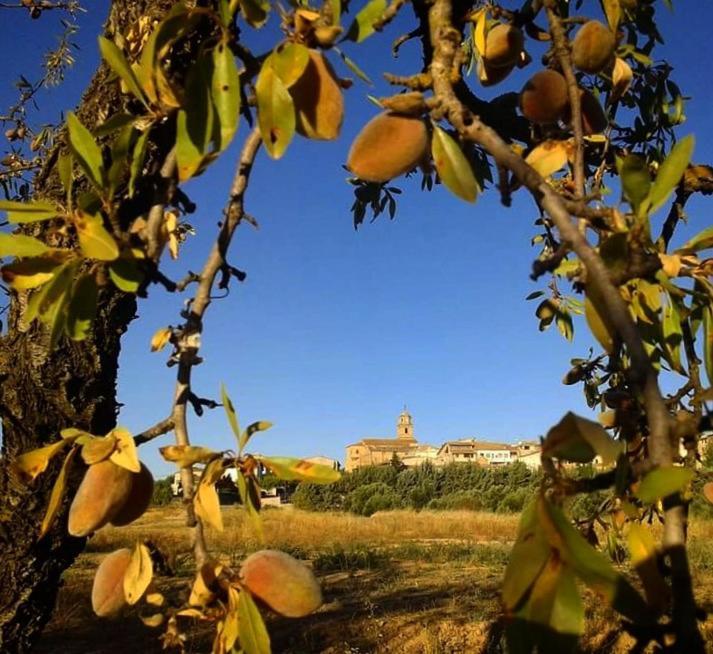 Hostal Can Barrina Arnés Zewnętrze zdjęcie